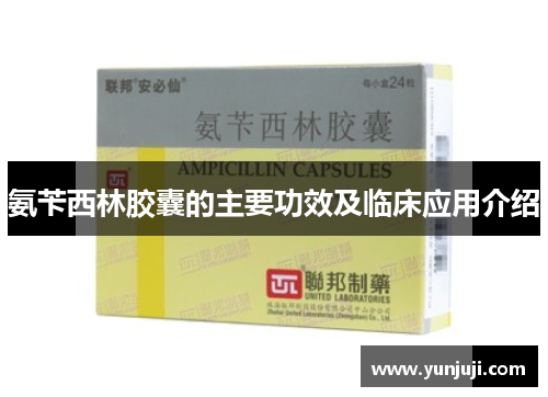 氨苄西林胶囊的主要功效及临床应用介绍